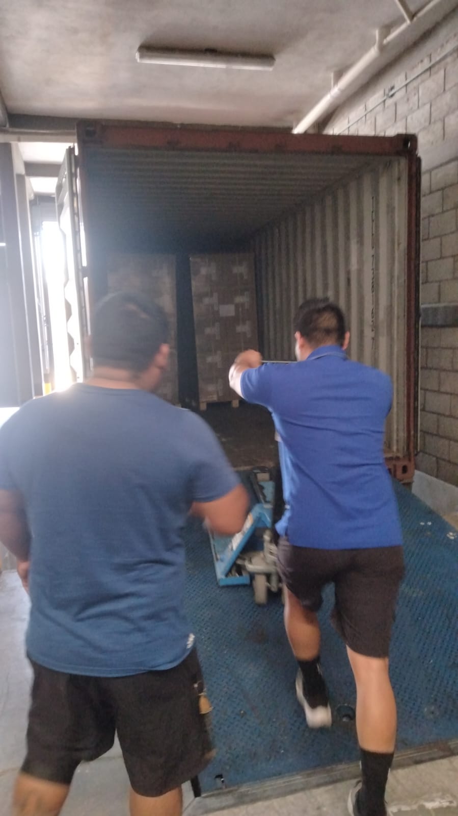 Equipo de Transportes 3GS